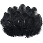 Plumes Noires : Analyse et Comparatif des Meilleurs Produits pour Ongles à Adopter Plumes Noires : Analyse et Comparatif des Meilleurs Produits pour Ongles à Adopter