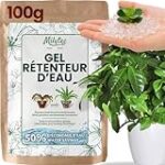 Analyse et Comparatif des Meilleurs Gels pour Ongles : Zoom sur le Gel Véronique Plante Analyse et Comparatif des Meilleurs Gels pour Ongles : Zoom sur le Gel Véronique Plante